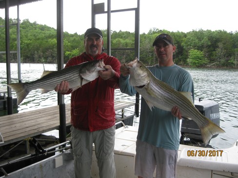 Nice Striped Bass